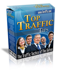 Top Traffic Tips - Traffic Tactics of the Gurus!